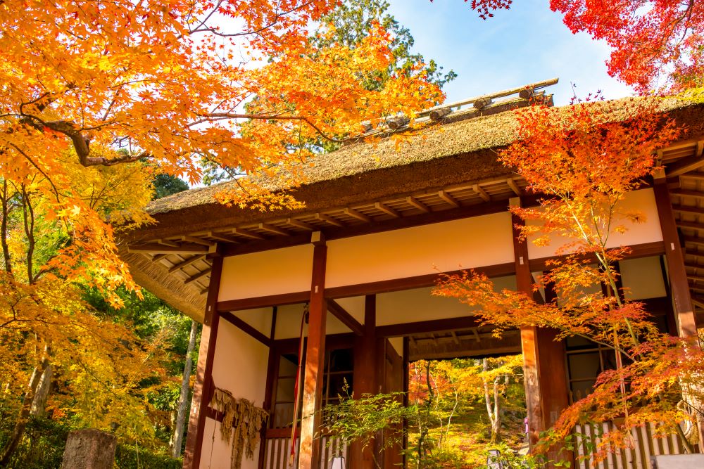 常寂光寺