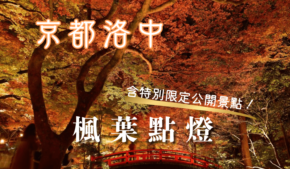 京都洛中　紅葉ライトアップ