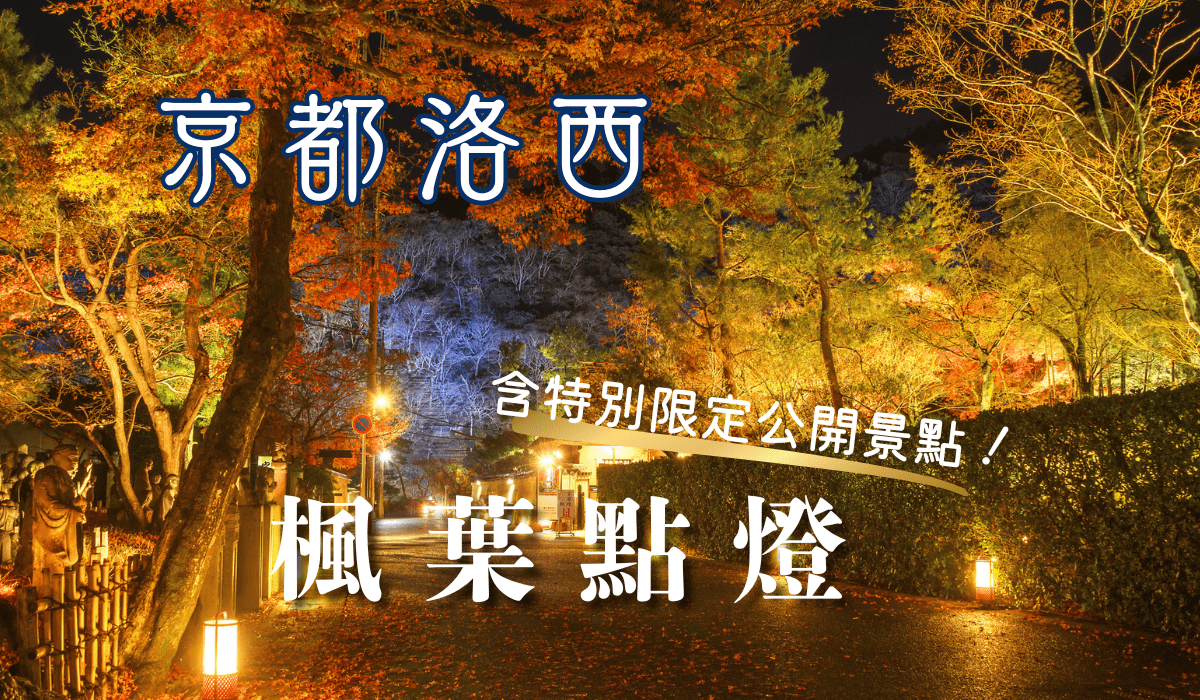 京都洛西　紅葉ライトアップ