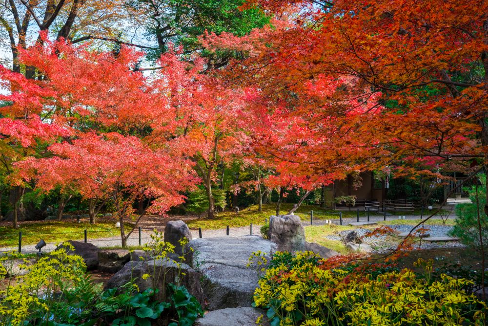 長岡天滿宮