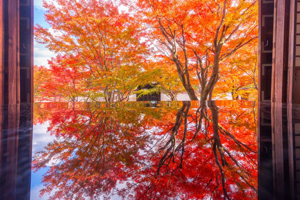 myokakuji
