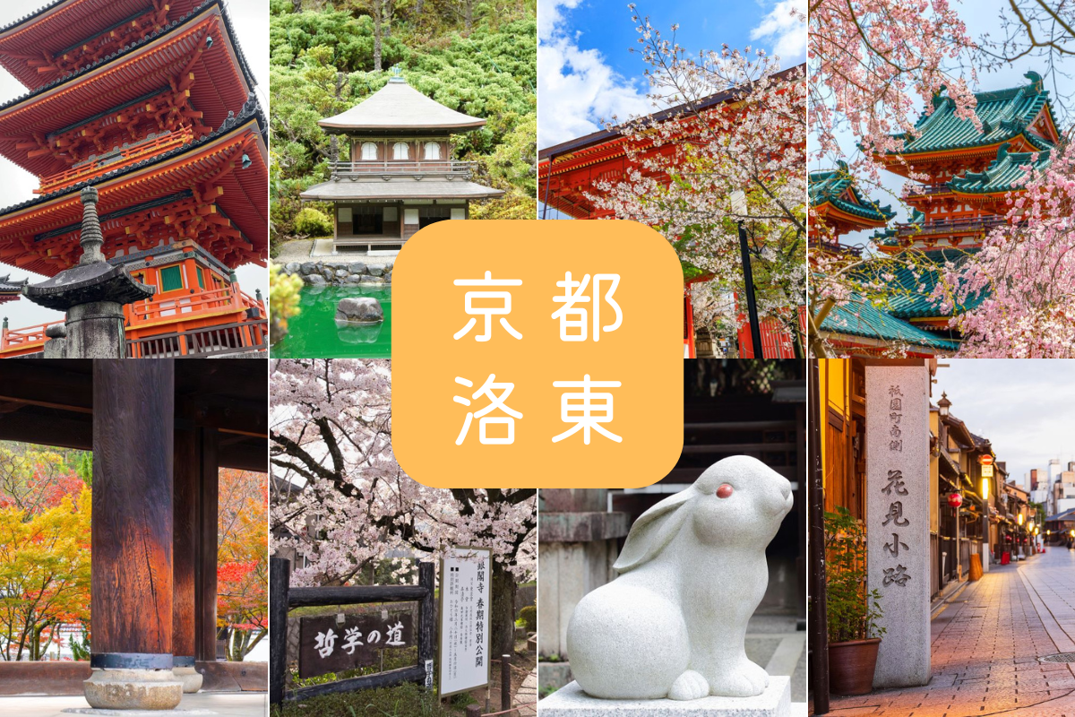 洛東エリア観光スポット