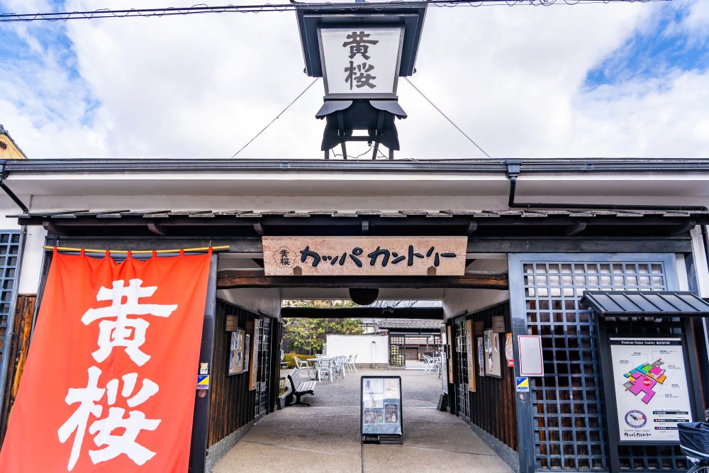 黄桜