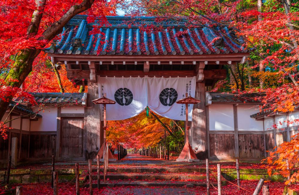 koumyoji