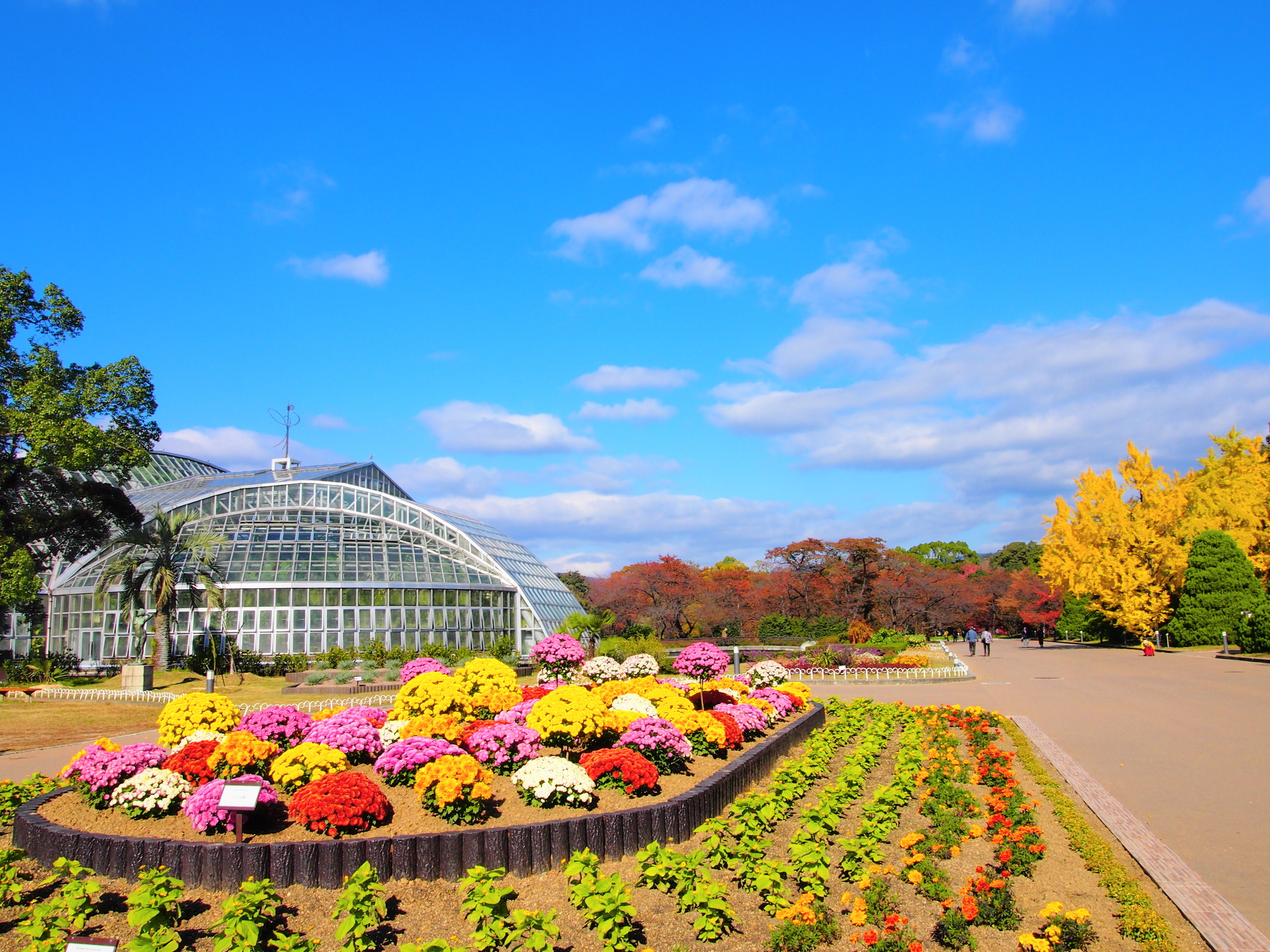 京都市植物園