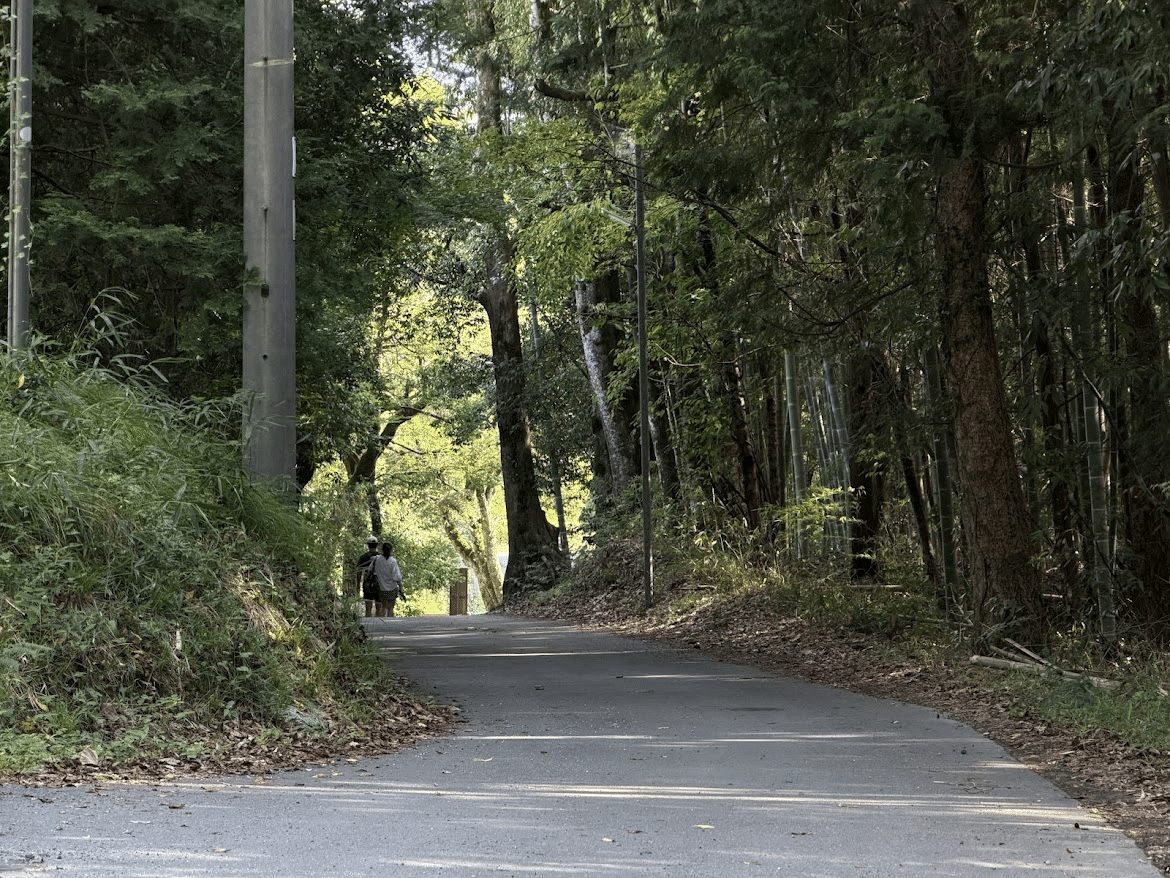 眞名井神社的參道