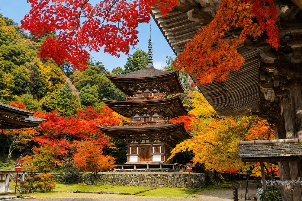 西明寺